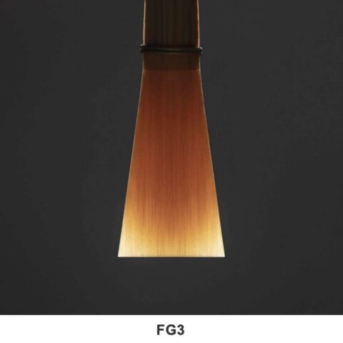 FG3